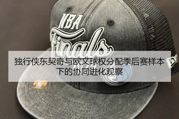 独行侠东契奇与欧文球权分配季后赛样本下的协同进化观察