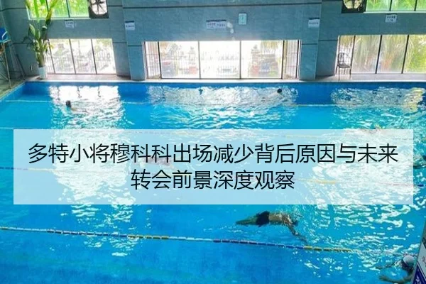 多特小将穆科科出场减少背后原因与未来转会前景深度观察