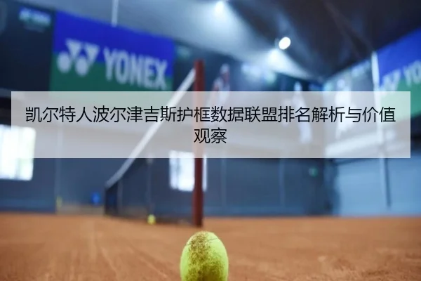 凯尔特人波尔津吉斯护框数据联盟排名解析与价值观察